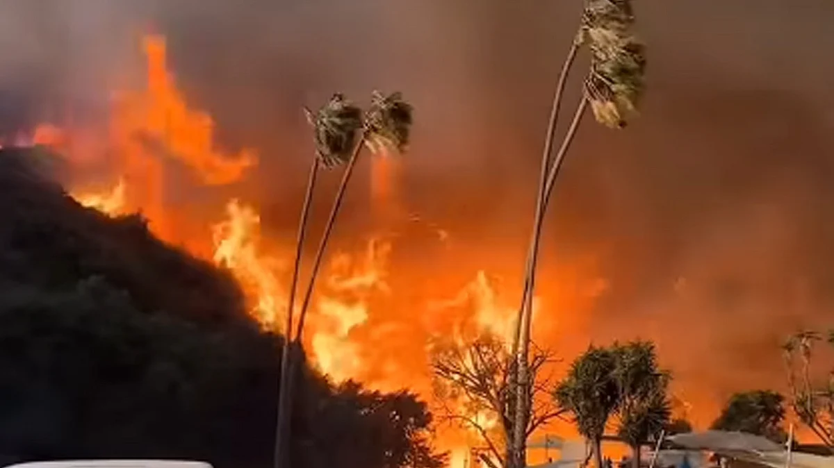 <div class="paragraphs"><p>ویڈیو گریب</p></div>