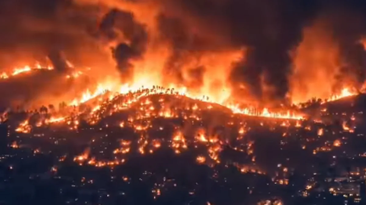 <div class="paragraphs"><p>ویڈیو گریب</p></div>