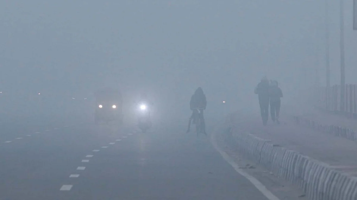 <div class="paragraphs"><p>دہلی میں شدید دھند (فائل) / قومی آواز / وپن</p></div>