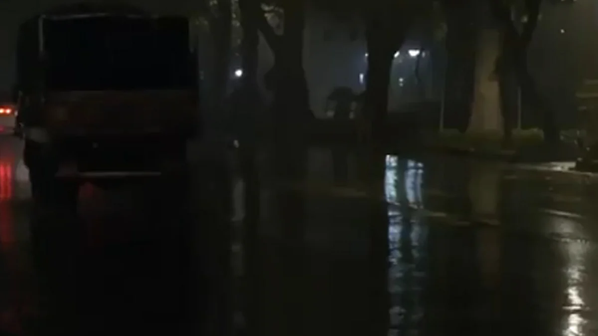 <div class="paragraphs"><p>ویڈیو گریب</p></div>