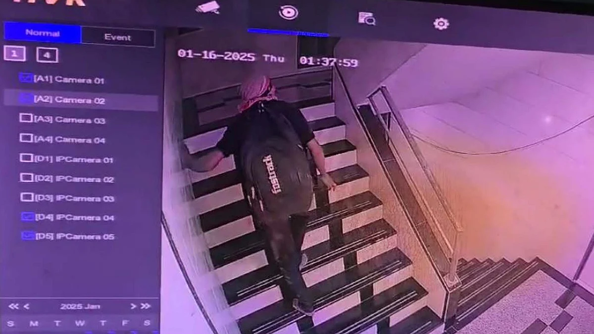 <div class="paragraphs"><p>سیف علی خان / آئی اے این ایس</p></div>