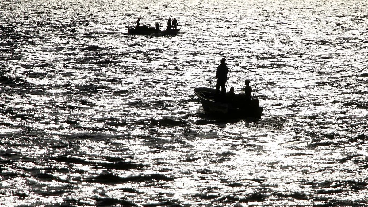 <div class="paragraphs"><p>فائل تصویر / آئی اے این ایس</p></div>