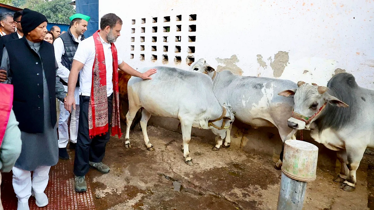 <div class="paragraphs"><p>تصویر بشکریہ آئی اے این ایس</p></div>