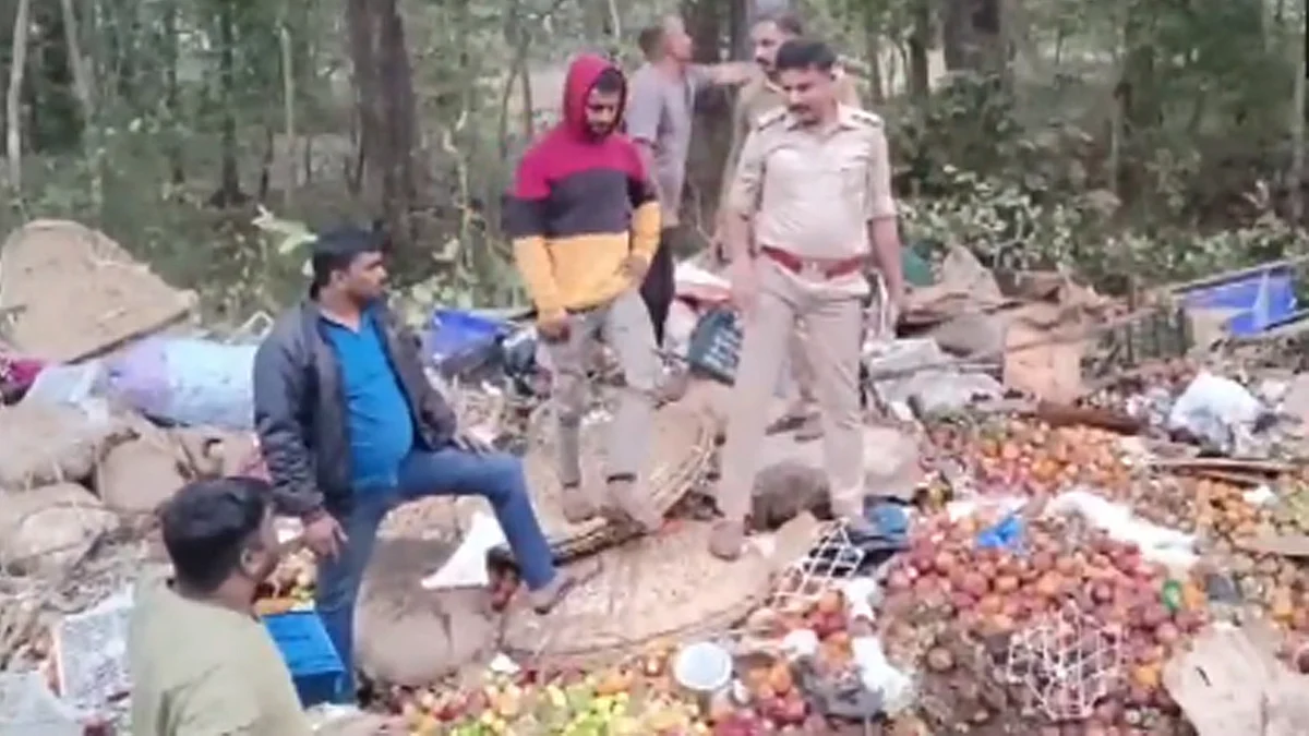 <div class="paragraphs"><p>ویڈیو گریب</p></div>