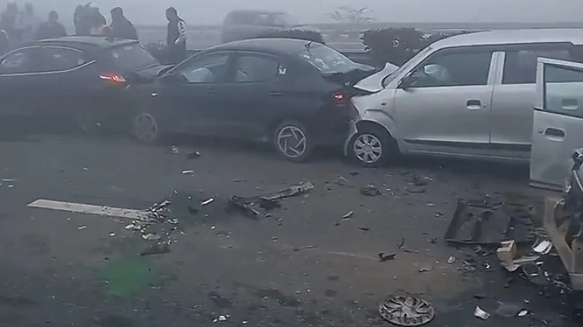 <div class="paragraphs"><p>ویڈیو گریب</p></div>