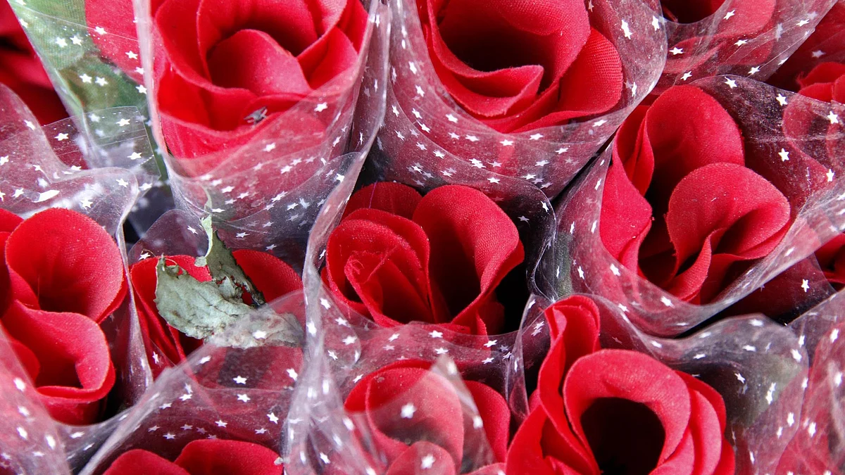 <div class="paragraphs"><p>فائل تصویر آئی اے این ایس</p></div>