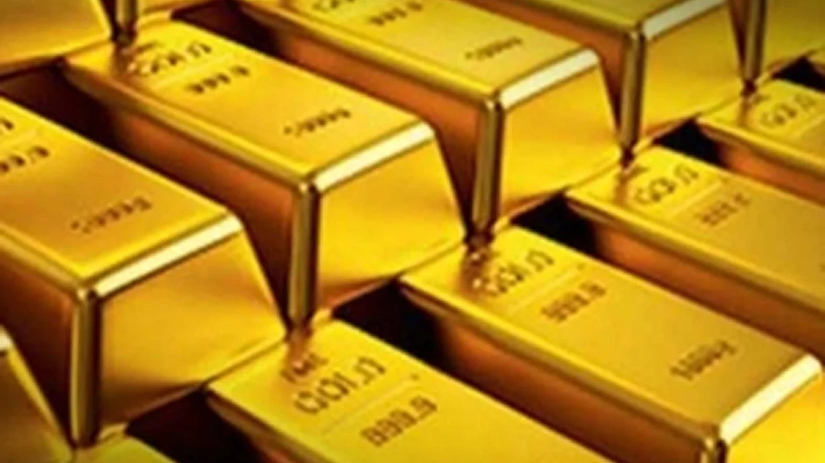 <div class="paragraphs"><p>سونے کا بسکٹ / آئی اے این ایس</p></div>