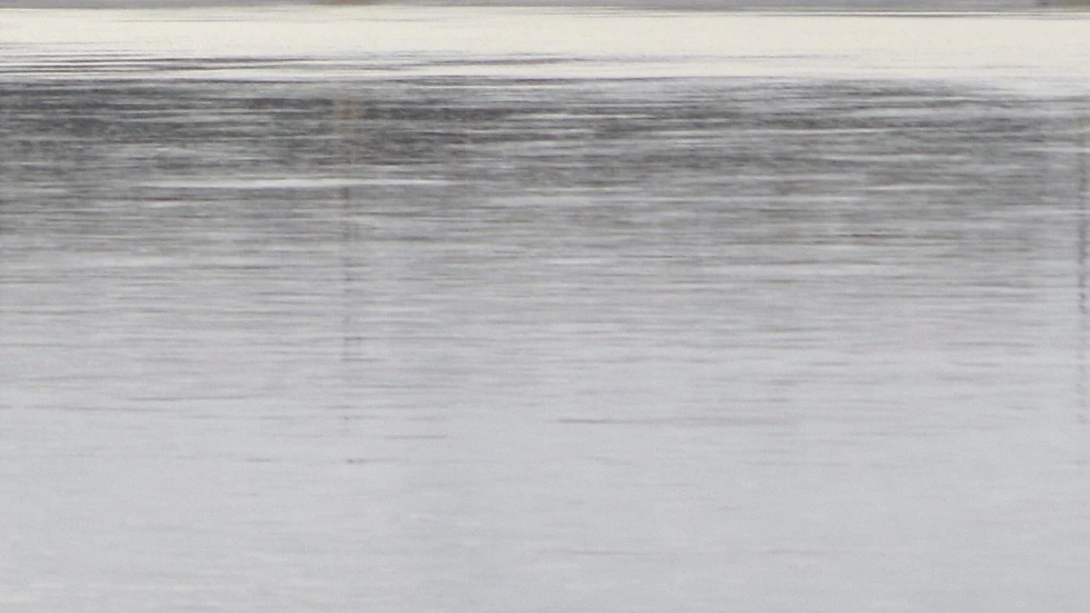 <div class="paragraphs"><p>فائل علامتی تصویر آئی اے این ایس</p></div>