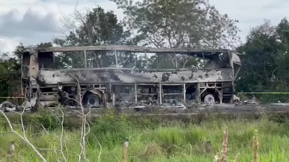 <div class="paragraphs"><p>تصویر 'ایکس' <a href="https://x.com/DDNewslive">@DDNewslive</a></p></div>