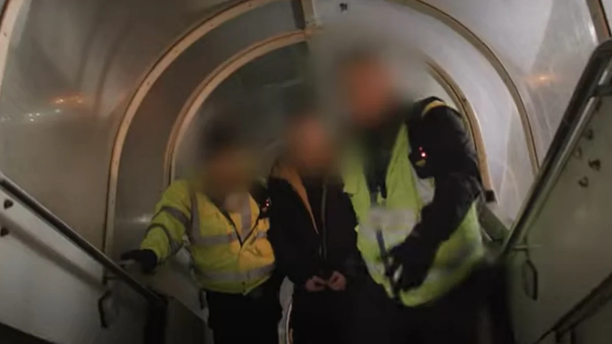 <div class="paragraphs"><p>ویڈیو گریب</p></div>