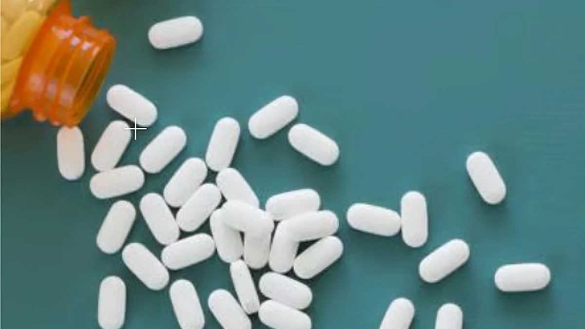 <div class="paragraphs"><p>علامتی تصویر/ سوشل میڈیا</p></div>