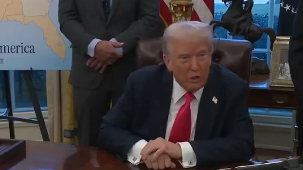 <div class="paragraphs"><p>ویڈیو گریب</p></div>