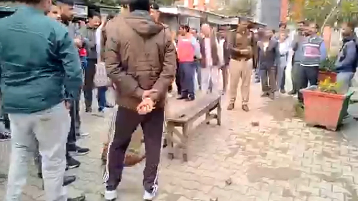 <div class="paragraphs"><p>امبالہ سٹی کورٹ احاطہ، ویڈیو گریب</p></div>