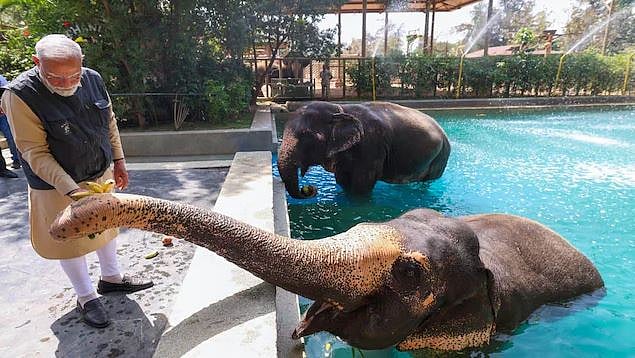 پی ایم مودی نے ’وَنتارا‘ میں شیر کے بچے کو بوتل سے پلایا دودھ، کانگریس نے ویڈیو شیئر کر کیا حملہ