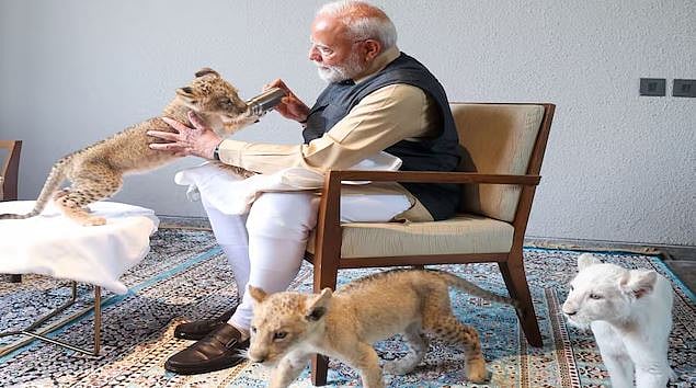 پی ایم مودی نے ’وَنتارا‘ میں شیر کے بچے کو بوتل سے پلایا دودھ، کانگریس نے ویڈیو شیئر کر کیا حملہ