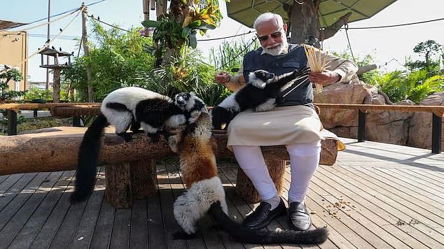 پی ایم مودی نے ’وَنتارا‘ میں شیر کے بچے کو بوتل سے پلایا دودھ، کانگریس نے ویڈیو شیئر کر کیا حملہ