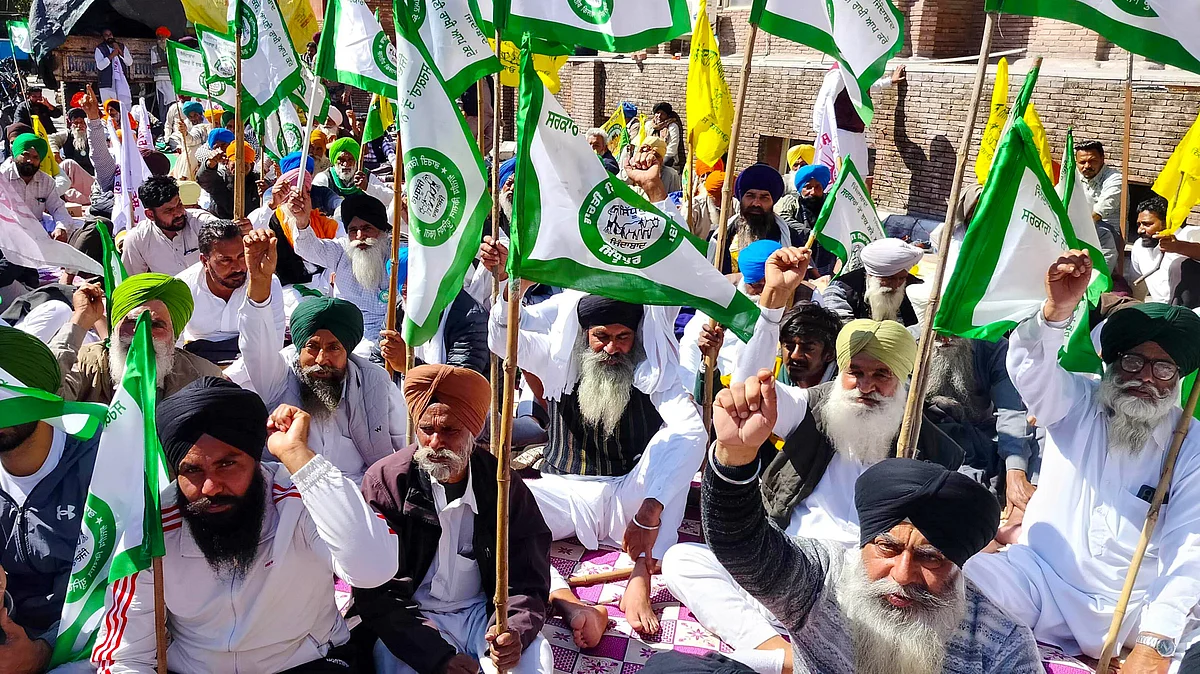 <div class="paragraphs"><p>تصویربشکریہ آئی اے این ایس</p></div>