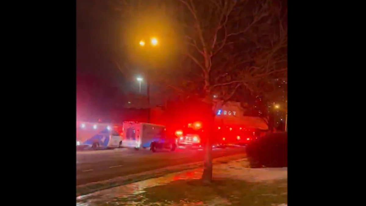 <div class="paragraphs"><p>ویڈیو گریب</p></div>