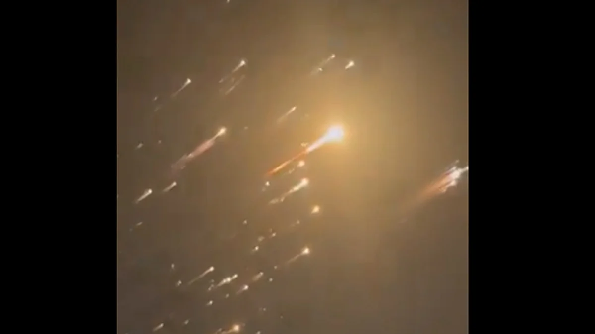 <div class="paragraphs"><p>ویڈیو گریب</p></div>