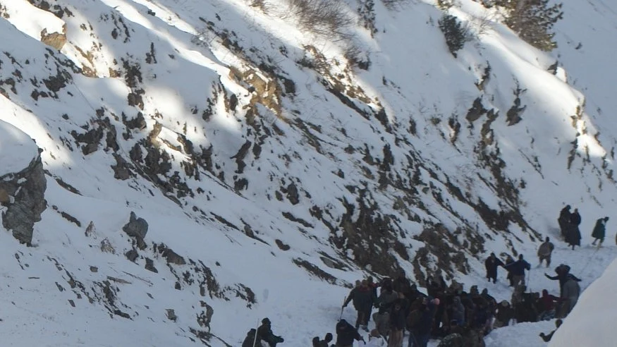 <div class="paragraphs"><p>فائل علامتی تصویر آئی اے این ایس</p></div>