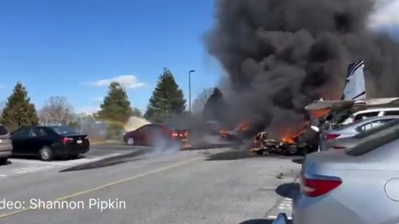 <div class="paragraphs"><p>ویڈیو گریب</p></div>