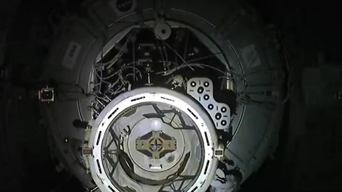 <div class="paragraphs"><p>ویڈیو گریب</p></div>