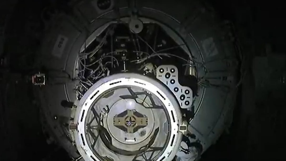 <div class="paragraphs"><p>ویڈیو گریب</p></div>