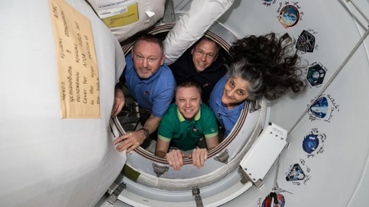 <div class="paragraphs"><p>تصویر'ایکس'</p></div>