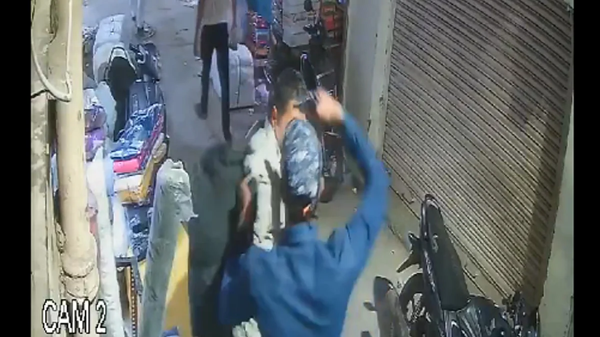 <div class="paragraphs"><p>ویڈیو گریب</p></div>