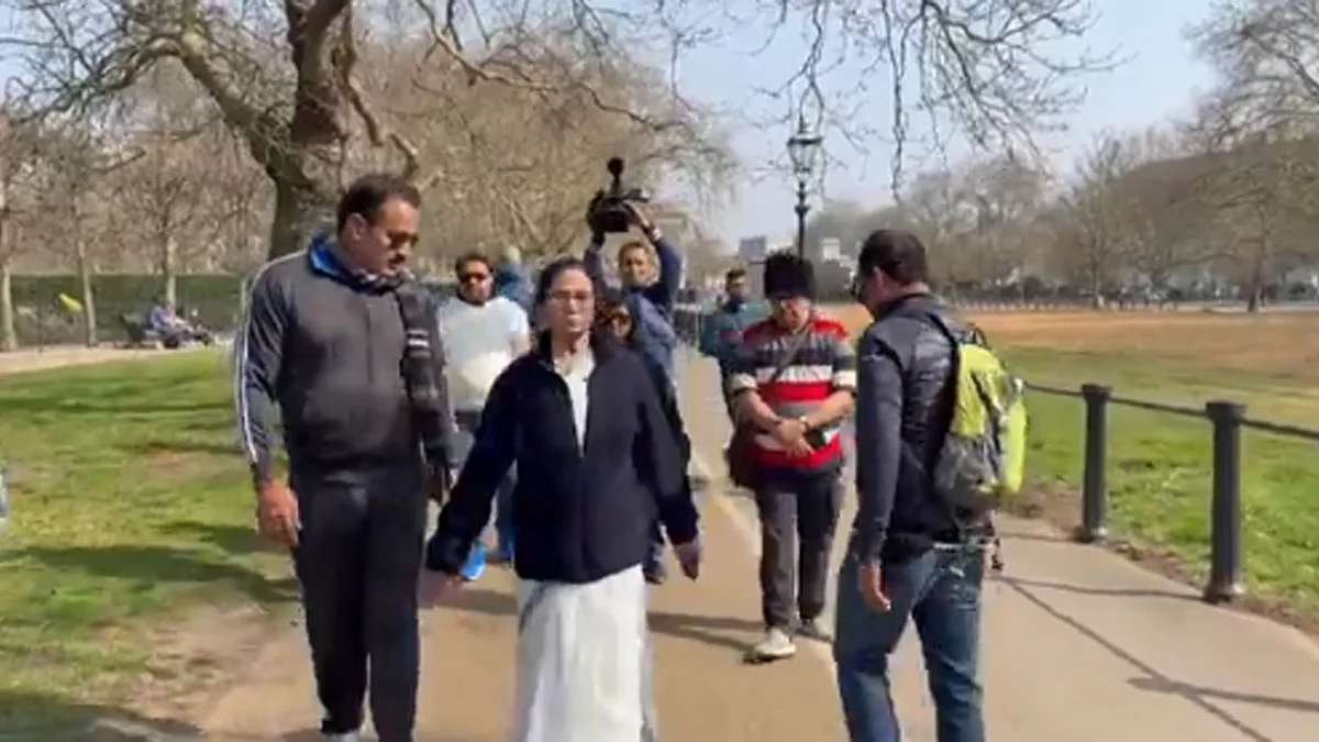 <div class="paragraphs"><p>ویڈیو گریب 'ایکس'</p></div>