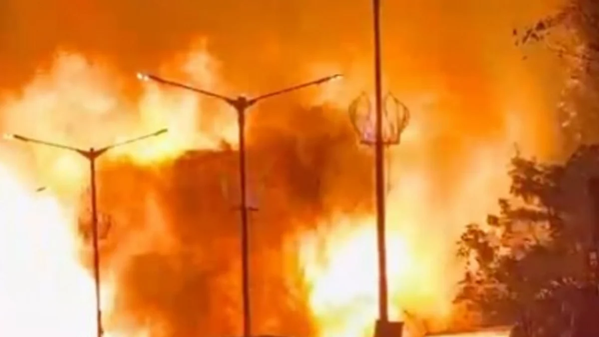 <div class="paragraphs"><p>ویڈیو گریب</p></div>