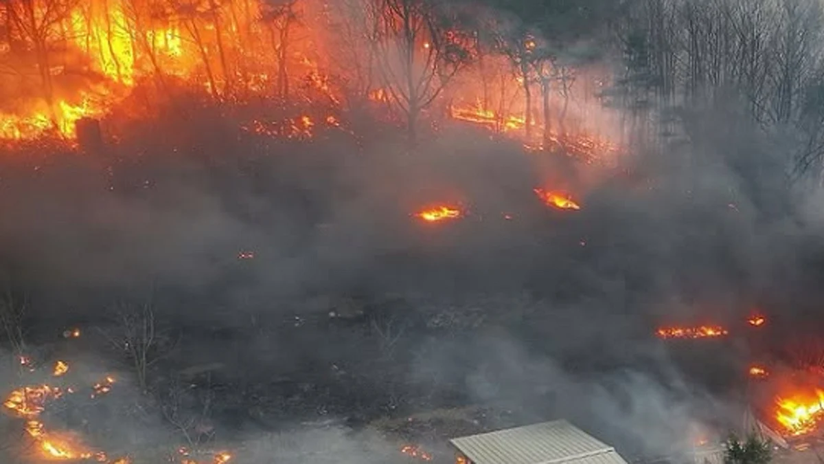 <div class="paragraphs"><p>تصویر سوشل میڈیا</p></div>