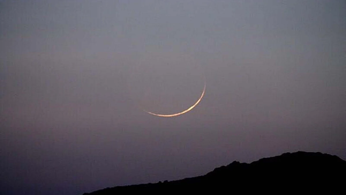 <div class="paragraphs"><p>سوشل میڈیا</p></div>