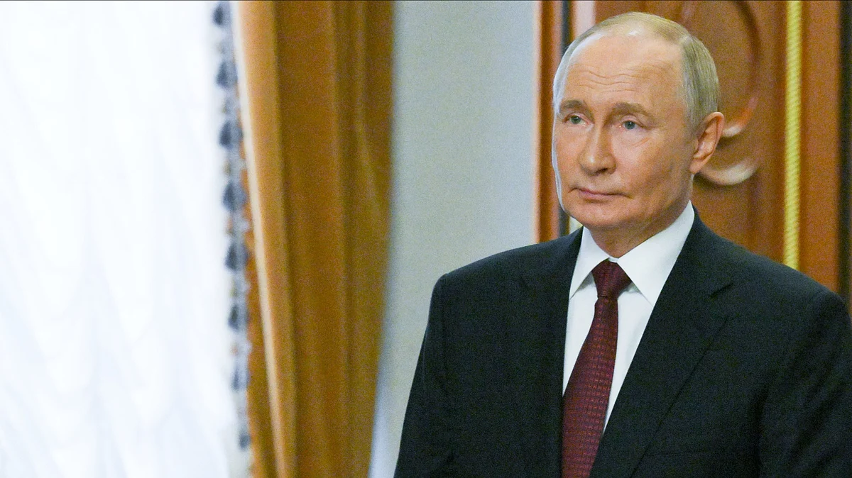 <div class="paragraphs"><p>فائل تصویر آئی اے این ایس</p></div>