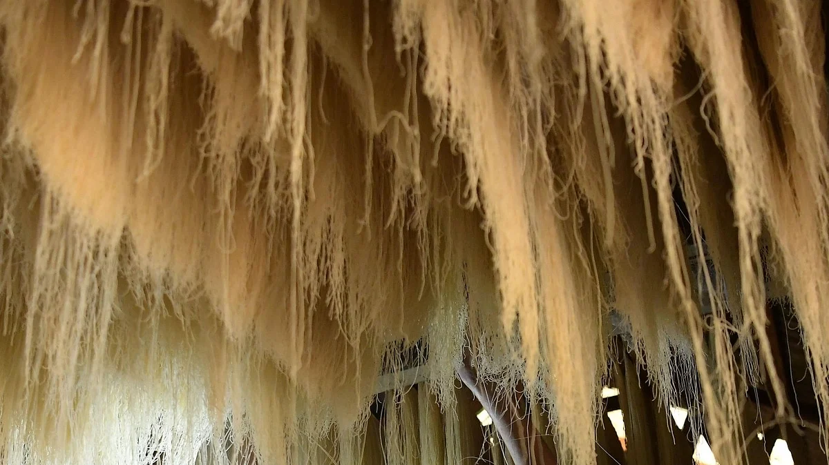 <div class="paragraphs"><p>فائل تصویر آئی اے این ایس</p></div>