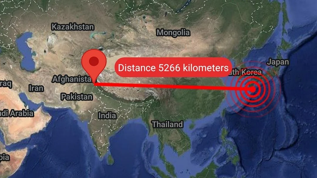 <div class="paragraphs"><p>تصویر سوشل میڈیا</p></div>