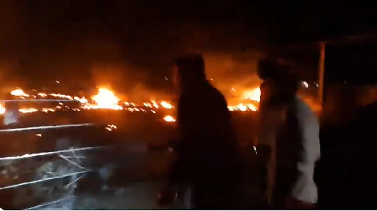 <div class="paragraphs"><p>ویڈیو گریب</p></div>