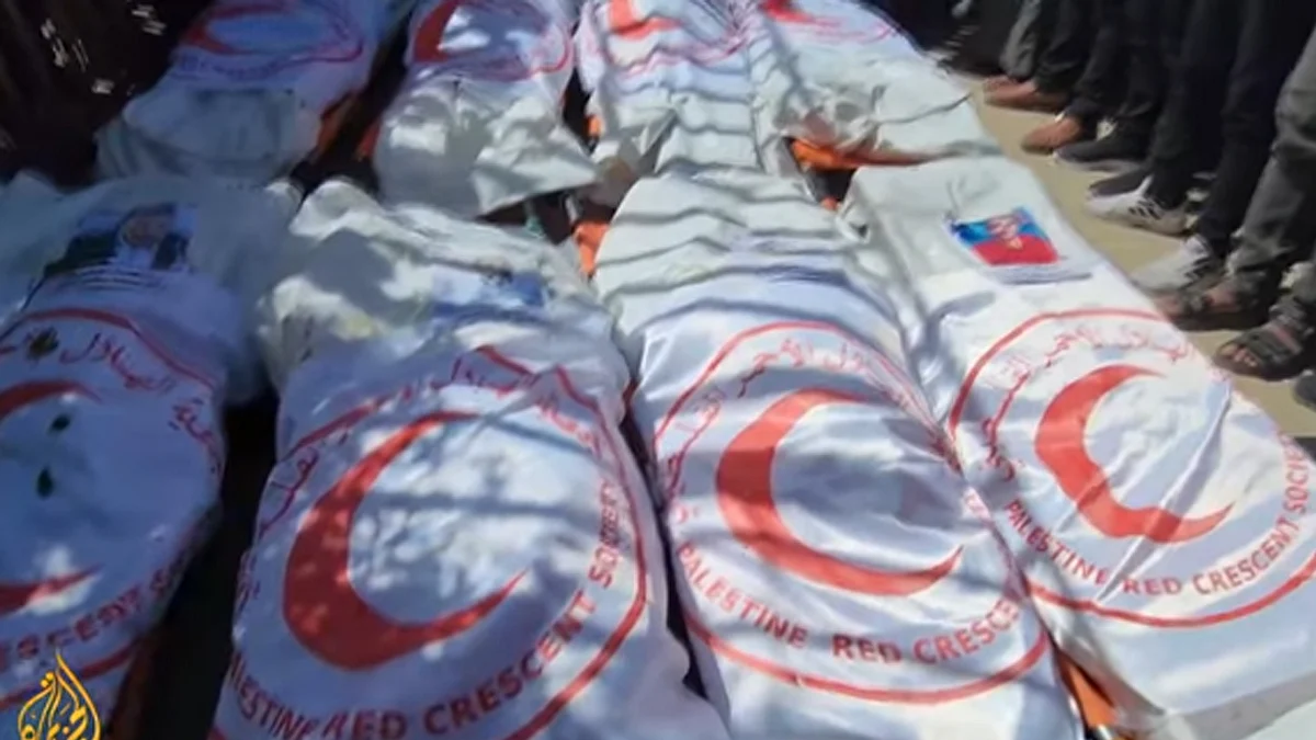 <div class="paragraphs"><p>ویڈیو گریب</p></div>