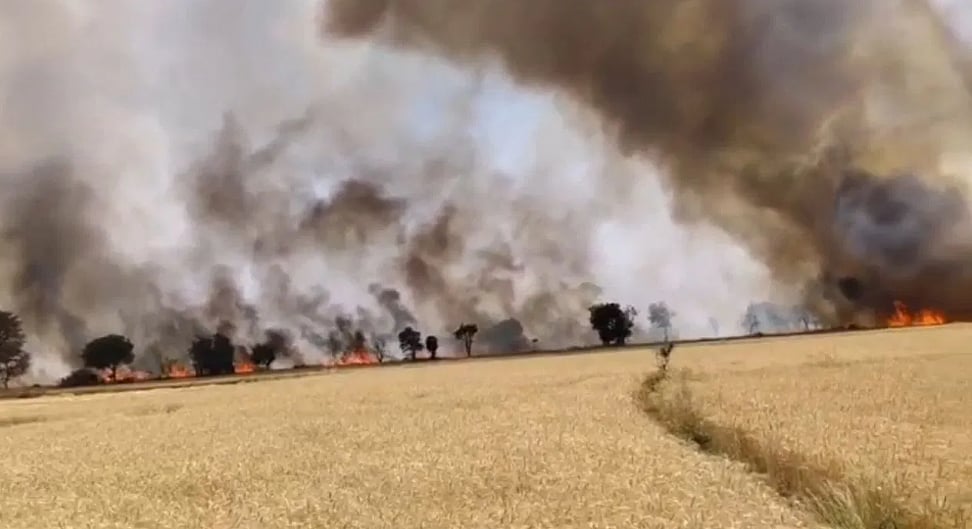 مدھیہ پردیش: اچانک لگی آگ نے دیکھتے ہی دیکھتے 550 ایکڑ کی فصل کو خاک میں کیا تبدیل، 250 کسان ہوئے برباد