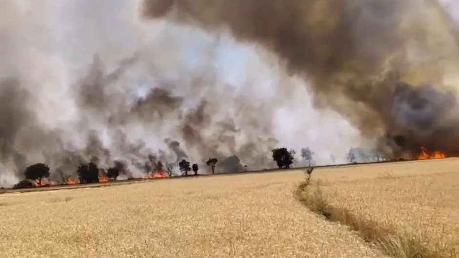 <div class="paragraphs"><p>گیہوں کی کھیت میں لگی آگ کا منظر</p></div>