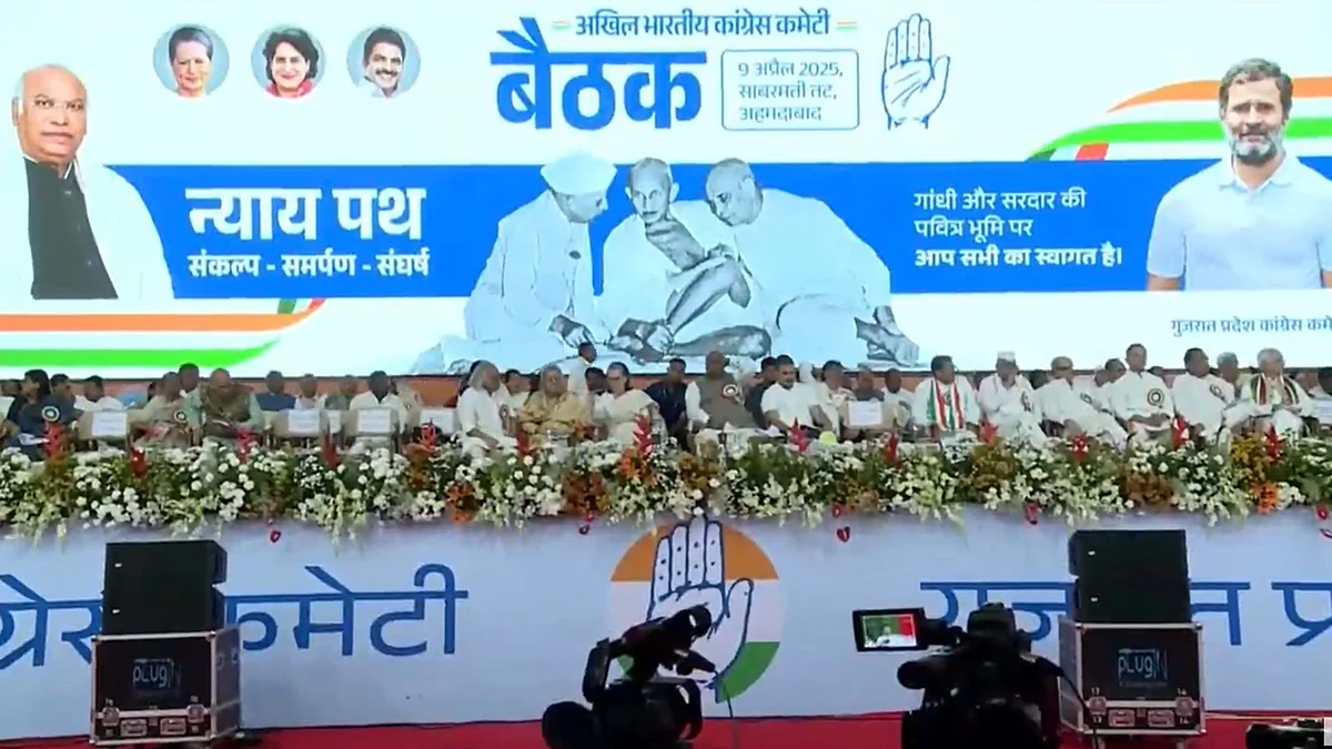 <div class="paragraphs"><p>ویڈیو گریب</p></div>