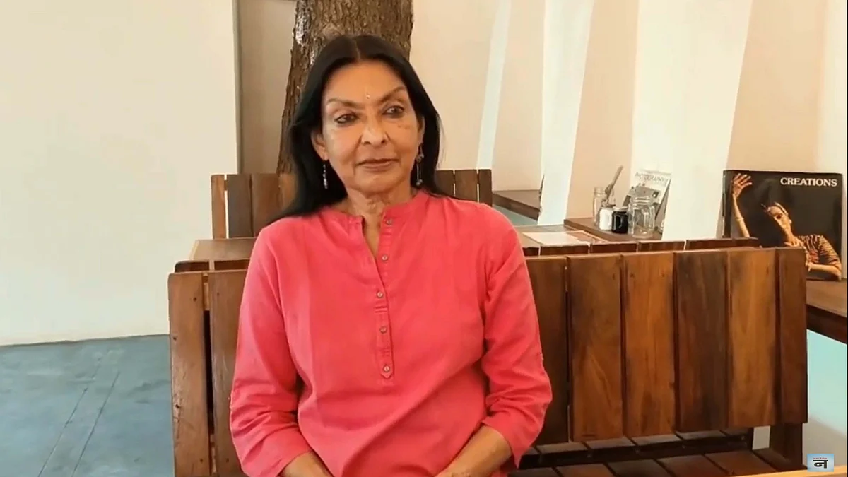 <div class="paragraphs"><p>ویڈیو گریب</p></div>