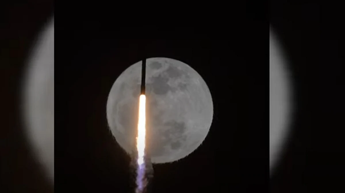 <div class="paragraphs"><p>ویڈیو گریب</p></div>