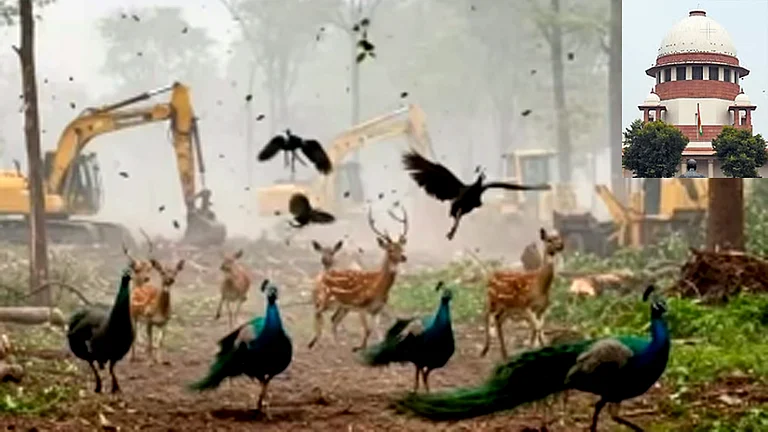 <div class="paragraphs"><p>تصویر ’انسٹاگرام’</p></div>