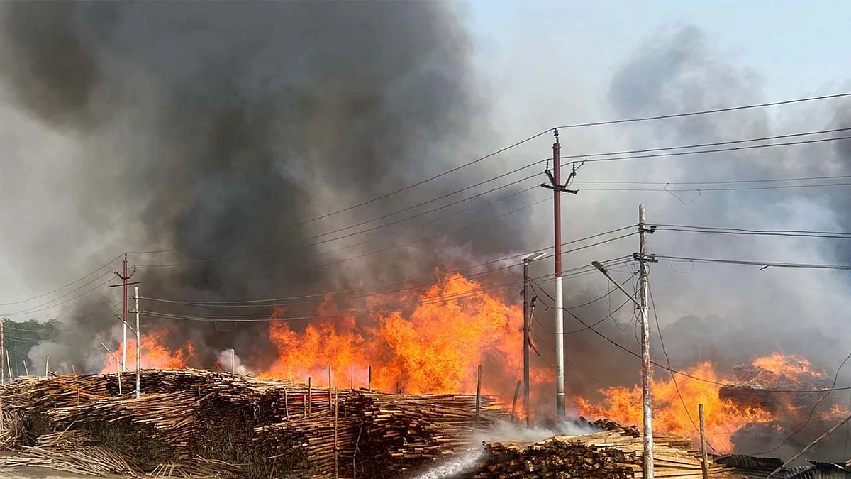 <div class="paragraphs"><p>پریاگ راج میں آگ کا منظر / بشکریہ ایکس</p></div>