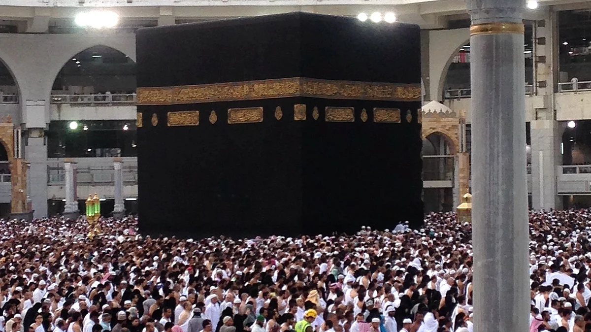<div class="paragraphs"><p>فائل تصویر آئی اے این ایس</p></div>
