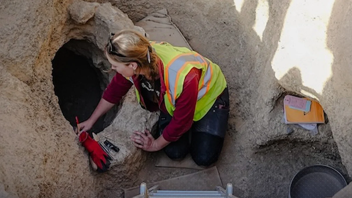 <div class="paragraphs"><p>یو اے ای میں عہد آہن کا قبرستان دریافت، تصویر سوشل میڈیا</p></div>