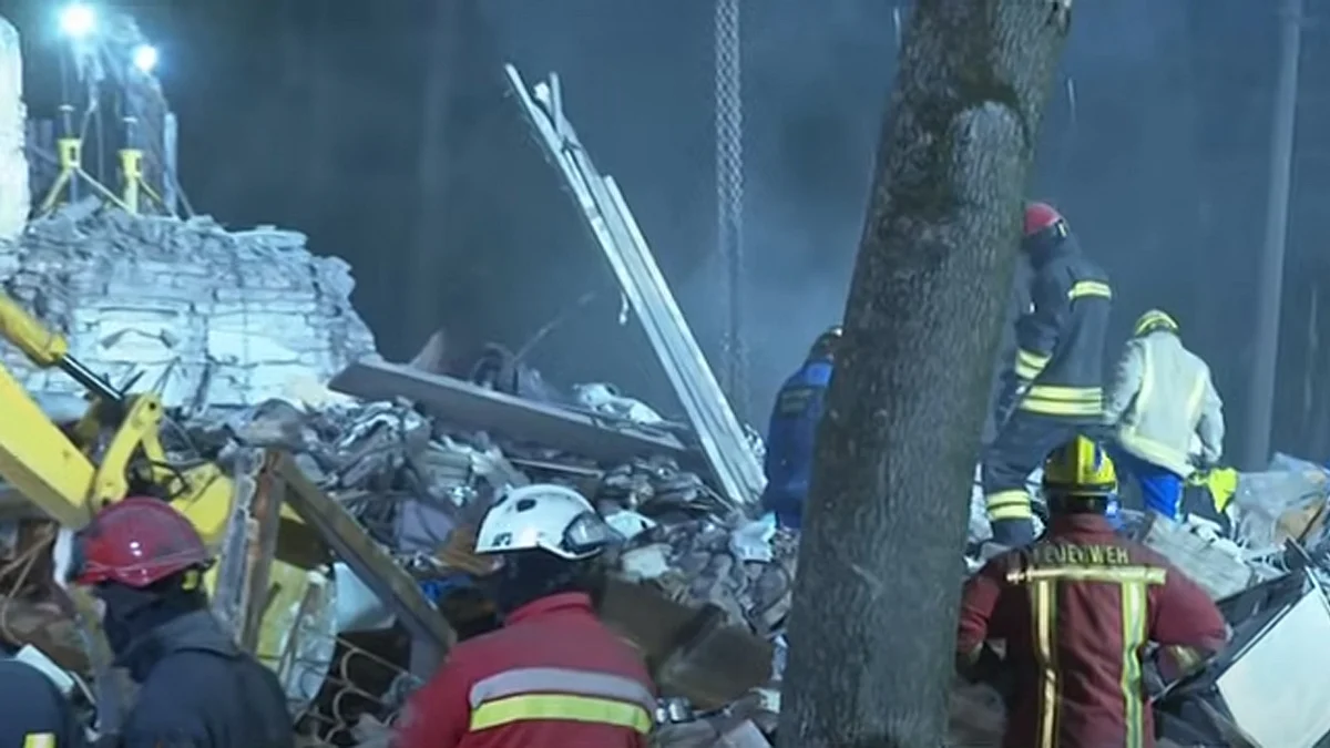 <div class="paragraphs"><p>ویڈیو گریب</p></div>