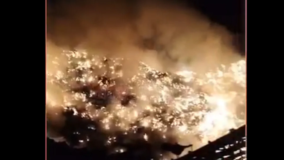 <div class="paragraphs"><p>ویڈیو گریب</p></div>