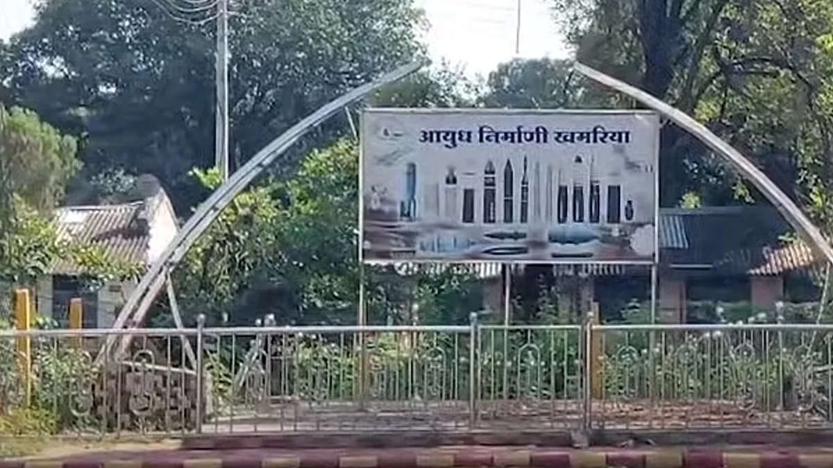 <div class="paragraphs"><p>ویڈیو گریب</p></div>